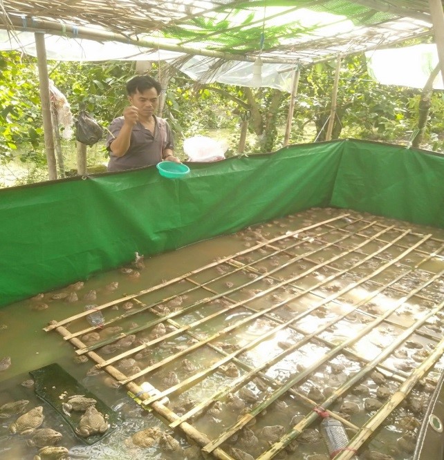 Tấm gương lao động cần cù của nạn nhân chất độc da cam